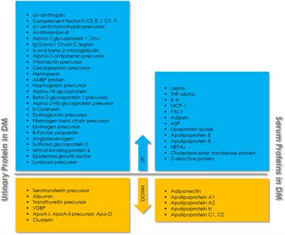 dmrr diabetes journal ada dmrr diabetes journal ada